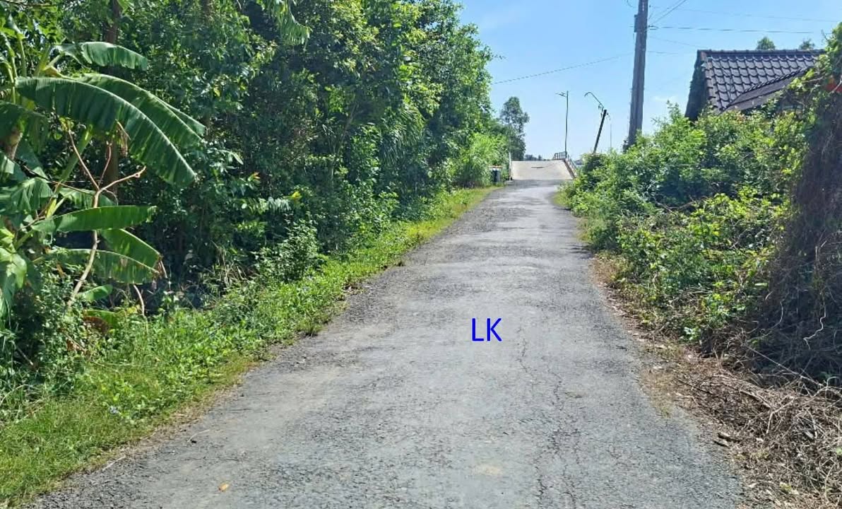 Đất nền liền kề ao 1.000m² xã Mỹ Quý Đồng Tháp - Giá 650 triệu, thương lượng!