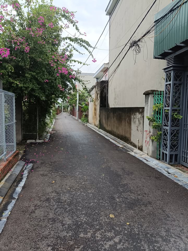 Đất nền chính chủ Xuân Nộn 46m² - Gần chợ, trường học, tiềm năng lớn!