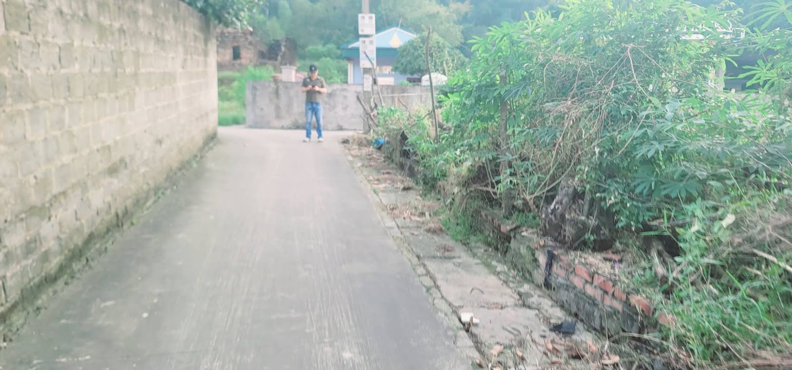 Đất nền chính chủ tại Phù Lãng, Quế Võ, Bắc Ninh 78m² - Giá chỉ 1 tỷ, ô tô vào tận nơi!