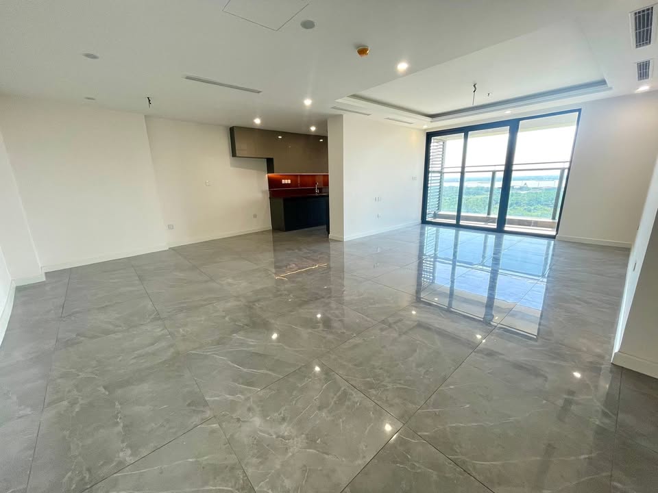 Căn hộ Sunshine Diamond River Quận 7 165m² giá 22 triệu - View sông tuyệt đẹp!
