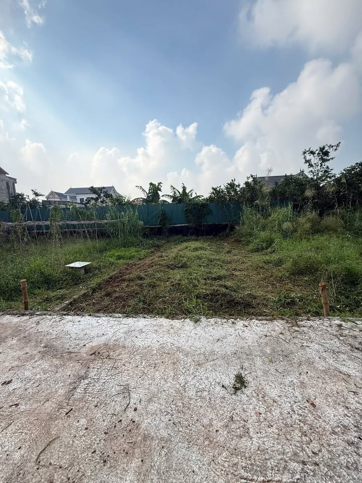 Đất thổ cư tại Chương Dương, Thường Tín 50m² giá 1.75 tỷ - Gần đường Hữu Hồng