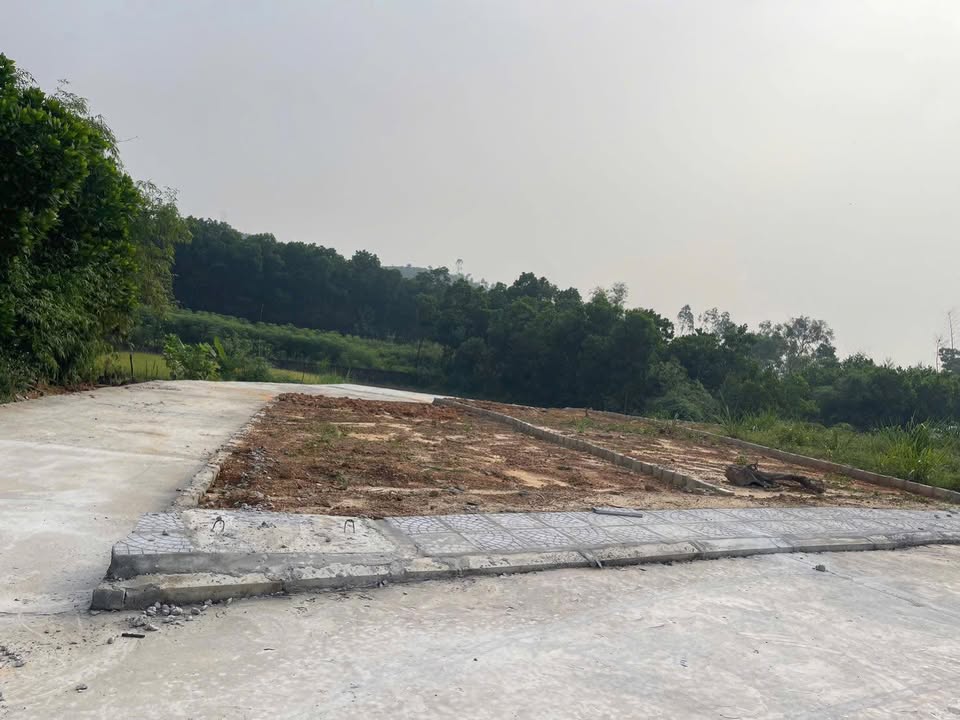 Đất thổ cư chính chủ Phúc Thuận 150m² giá chỉ 300 triệu - Cơ hội vàng đầu tư!