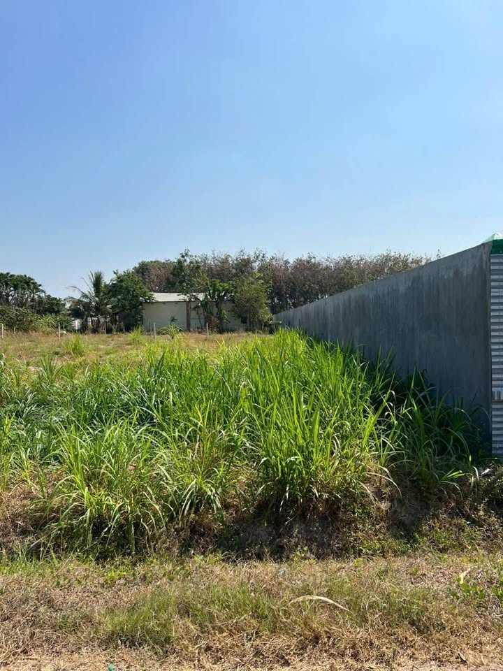 Đất nền An Phú, Trảng Bàng, Tây Ninh 189m² giá 950 triệu - Mặt tiền nhựa rộng rãi!