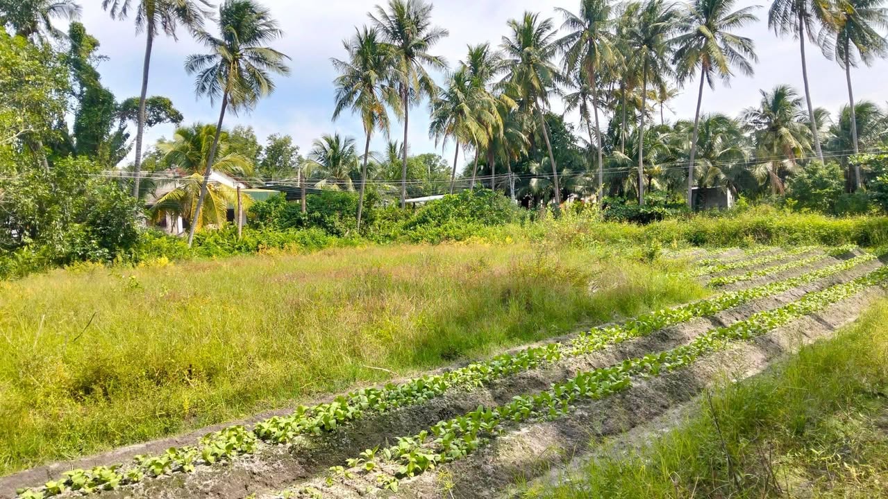 Đất thổ cư 830m² tại xã Hàm Đức, giá 430 triệu - Vị trí mát mẻ, giao thông thuận lợi!