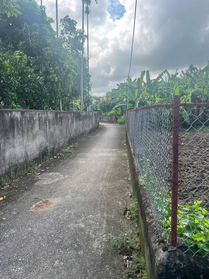 Lô đất thổ cư Vân Tra 450m² giá 11.7 tỷ - Gần công viên An Đồng!