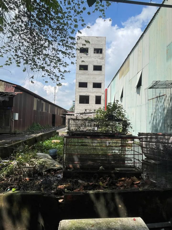 Đất nền An Phú Đông 160m² chỉ 7.8 tỷ - Giảm giá sốc, chính chủ bán gấp!