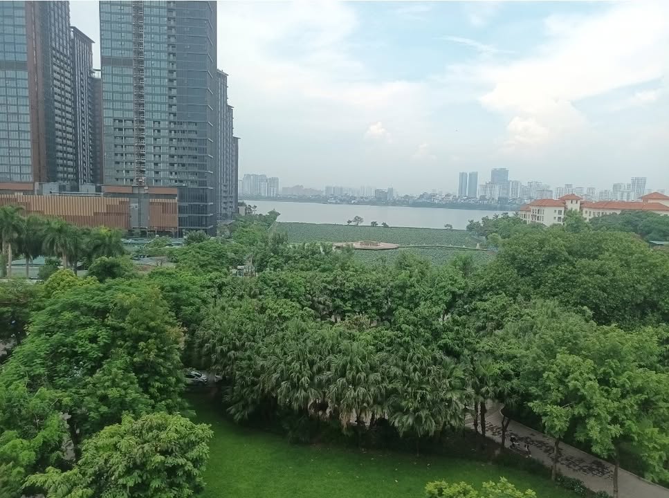 Tòa Nhà 9 Tầng Quận Tây Hồ 143m² Giá 136 Tỷ - Sở Hữu Ngay View Hồ Tây Đẳng Cấp!