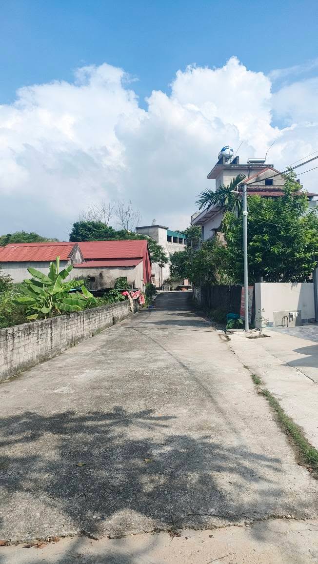 Đất vườn 2 mặt tiền tại tổ 6 Ỷ La, 255m² giá 3 tỷ - Tiềm năng phát triển cao!