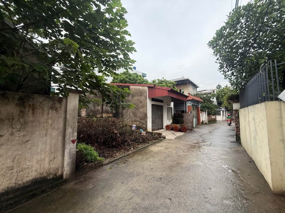 Đất nền Phụng Châu, Chương Mỹ 100m² - Đường thông ô tô tránh, giá đầu tư hấp dẫn!