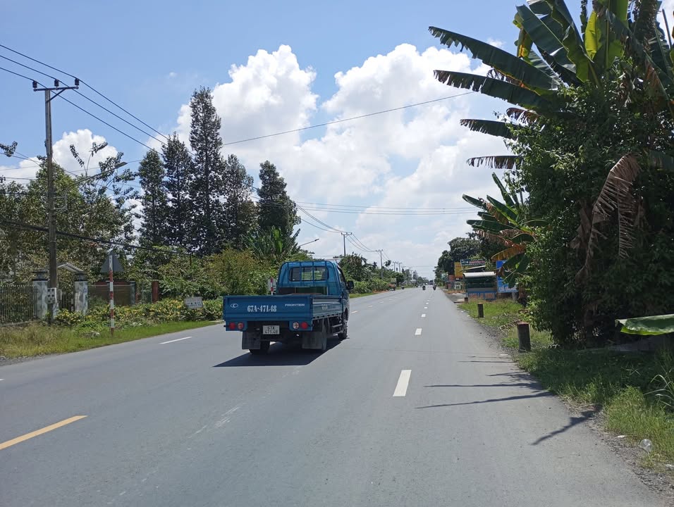 Đất nền mặt tiền Quốc lộ 80 Lai Vung 1029m² giá 3.8 tỷ - Tiềm năng kinh doanh lớn!