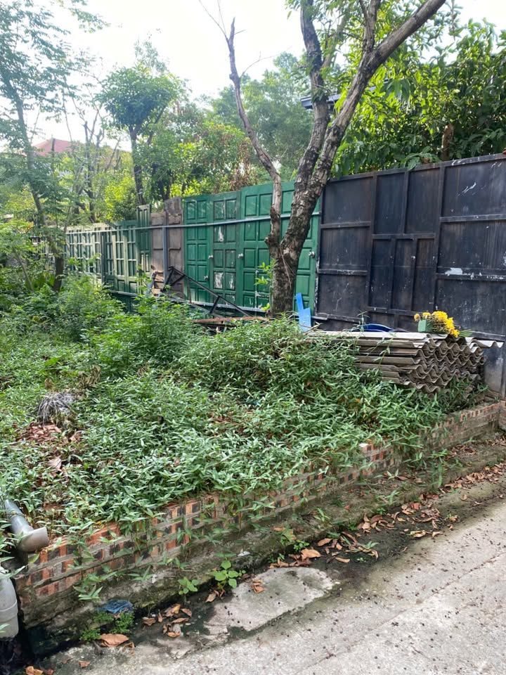 Đất nền Xuân Nộn 81m² giá chỉ 4 tỷ - Đầu tư sinh lời ngay!