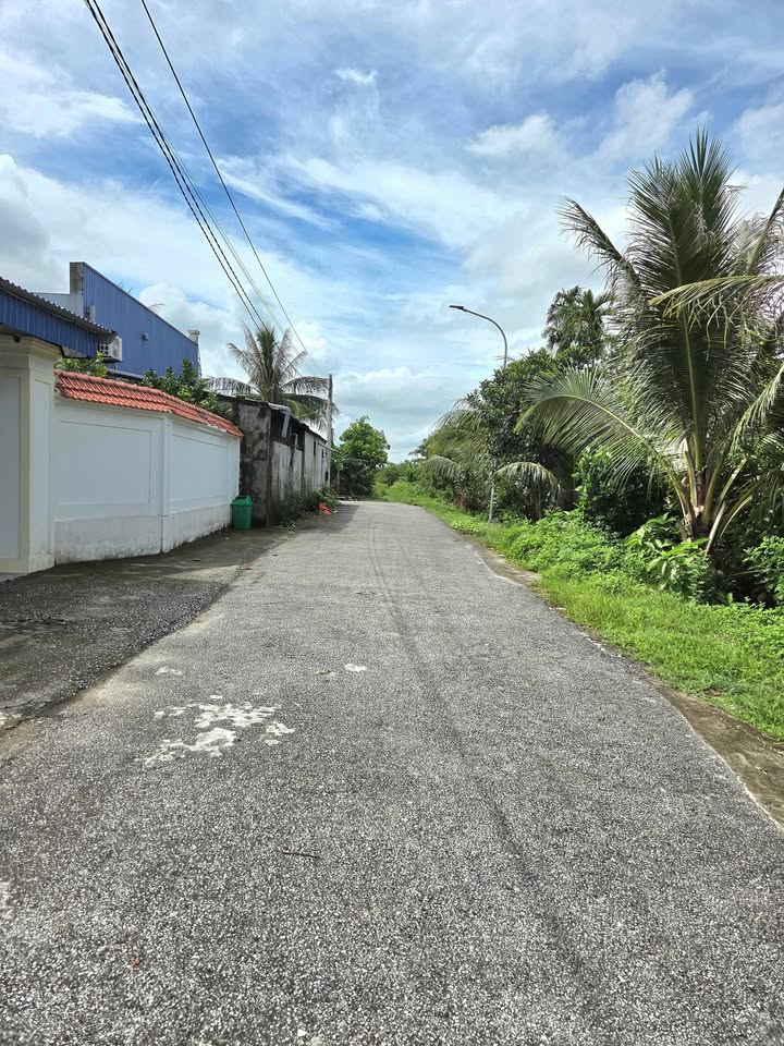 Đất thổ cư 99.5m² tại Thù Du, Kiến Thụy - Giá đầu tư chỉ 1.7x tỷ!