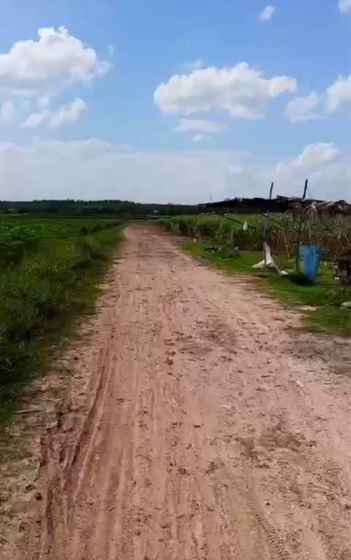 Đất thổ cư 1500m² tại Thạnh Tây, Tân Biên - Giá chỉ 375 triệu!