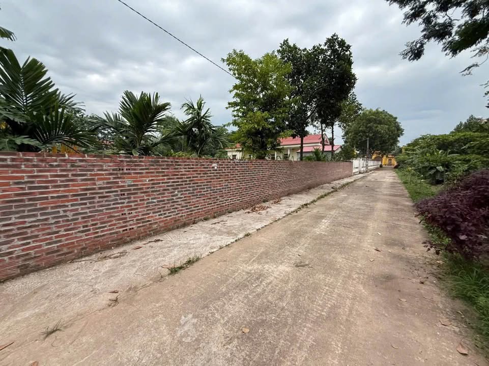 Đất nền Hồng Phương Yên Lạc 80m² giá 800 triệu - Cơ hội đầu tư tuyệt vời!