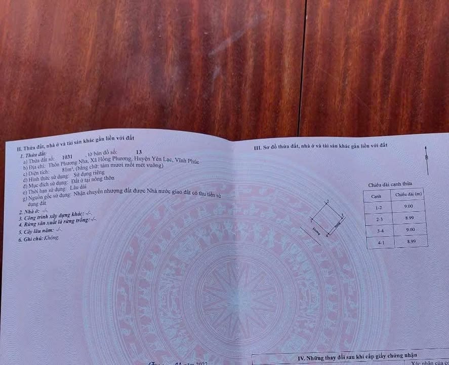 Đất nền Hồng Phương, Yên Lạc 80m² chỉ 800 triệu - Đầu tư sinh lời ngay!