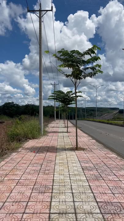 Đất nền Đồng Phú 155m² giá 700 triệu - Mặt tiền đường nhựa rộng 42m