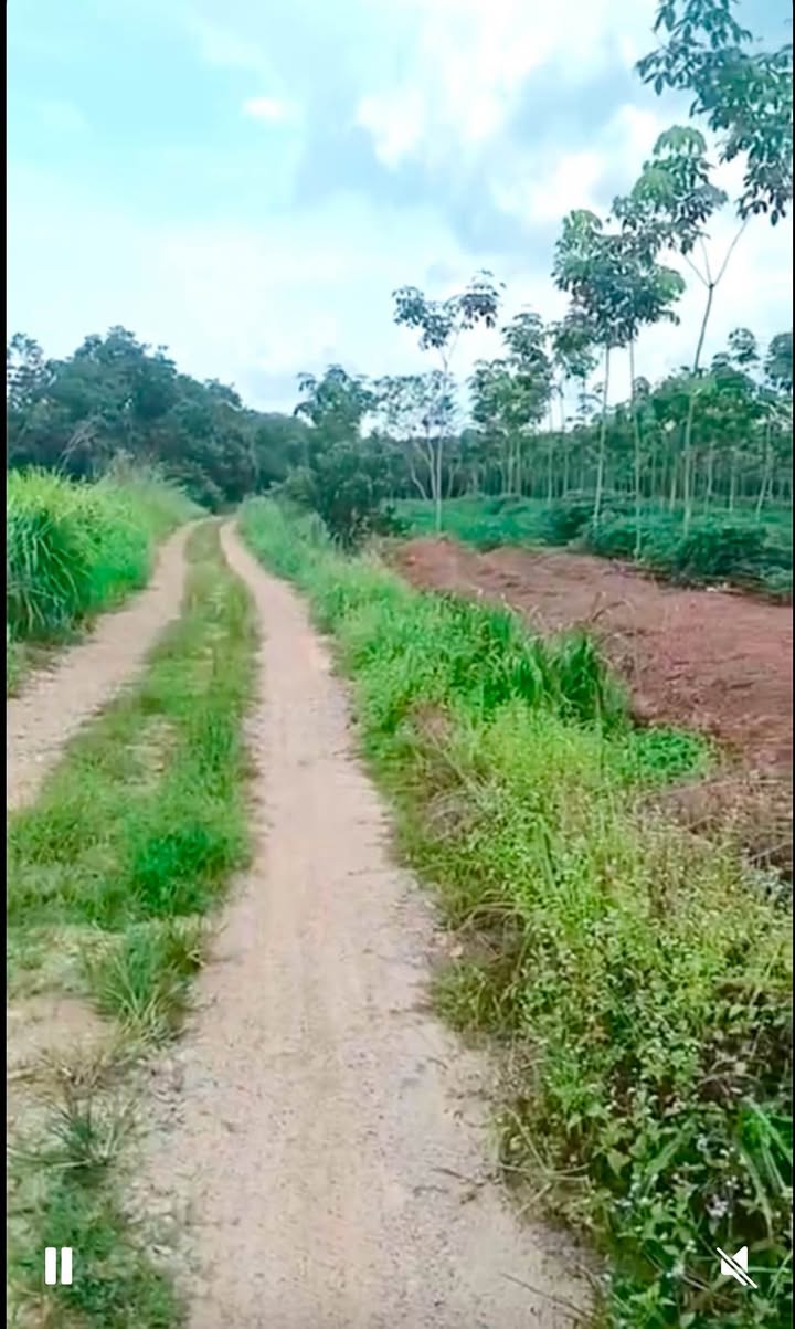 Đất Farm Tân Hoà Đồng Phú 2,3ha giá 2,2 tỷ - Mặt tiền đường đẹp mộng mơ!