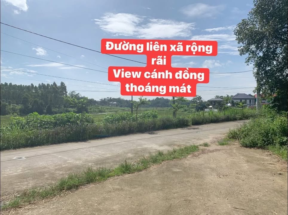 Đất nền Liễn Sơn, Lập Thạch 200m² giá chỉ 700 triệu - Siêu cơ hội đầu tư!