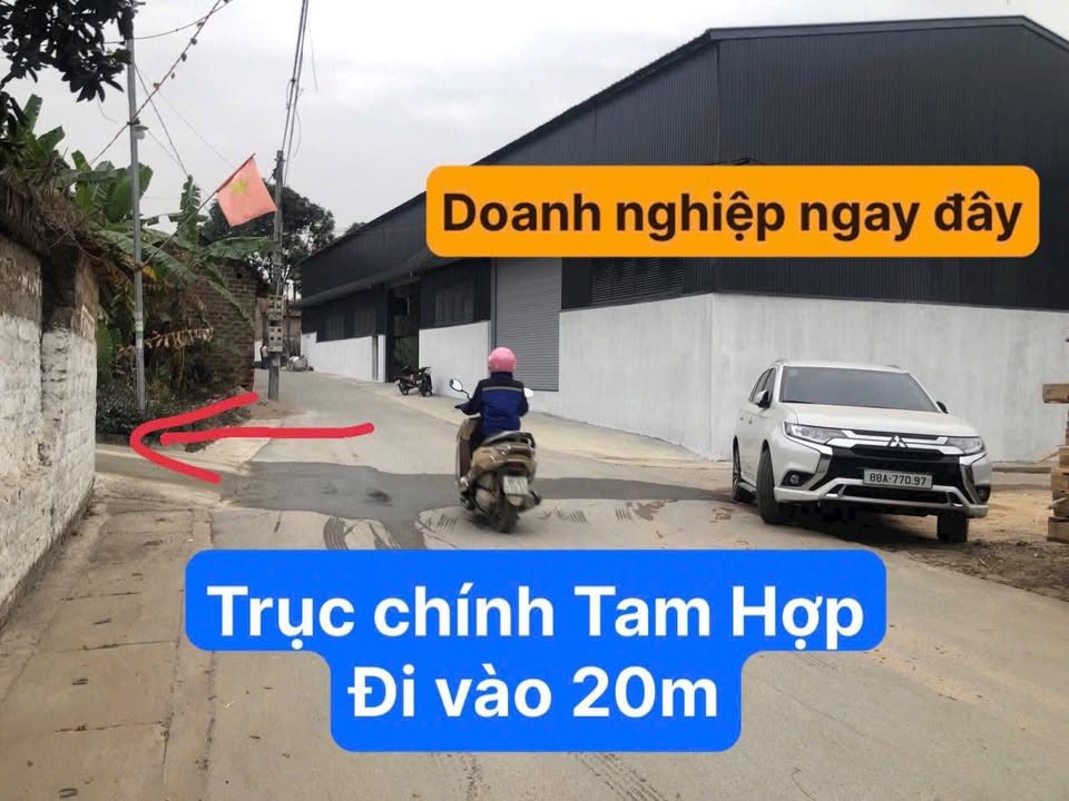 Lô đất mặt tiền tại Tam Hợp, Bình Xuyên 99,1m² giá chỉ 1 tỷ - Đầu tư sinh lời ngay!