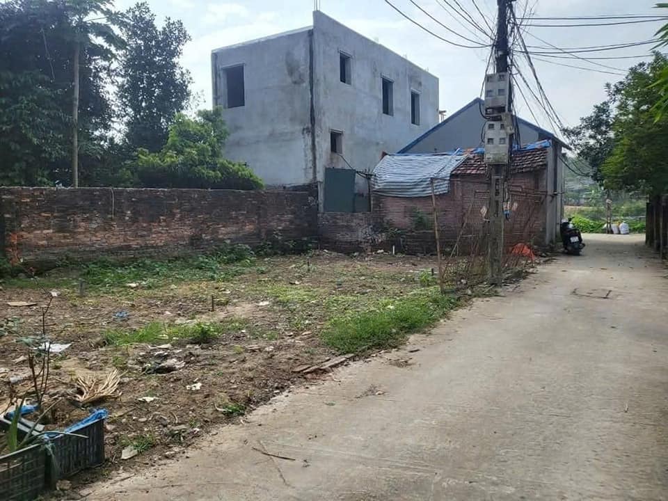 Đất thổ cư 133m² xã Phú Nghĩa - Giá chỉ 4.059 tỷ VND, đầu tư sinh lời cao!