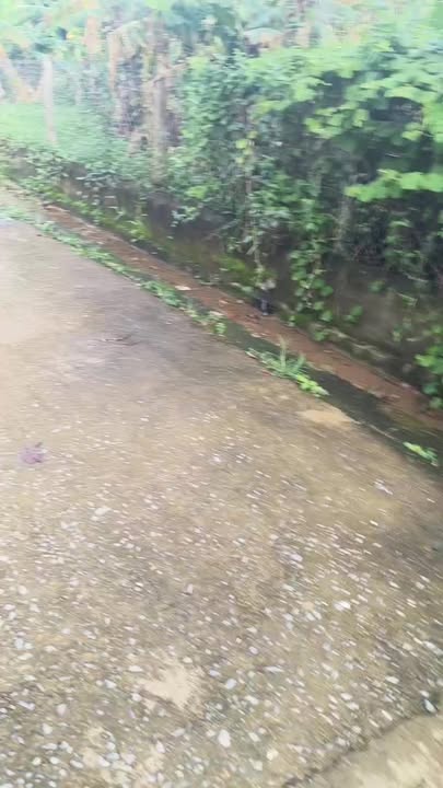 Đất nền Vạn An, Nam Đàn 200m² giá 1 tỷ - Lô góc 3 mặt tiền tuyệt đẹp!