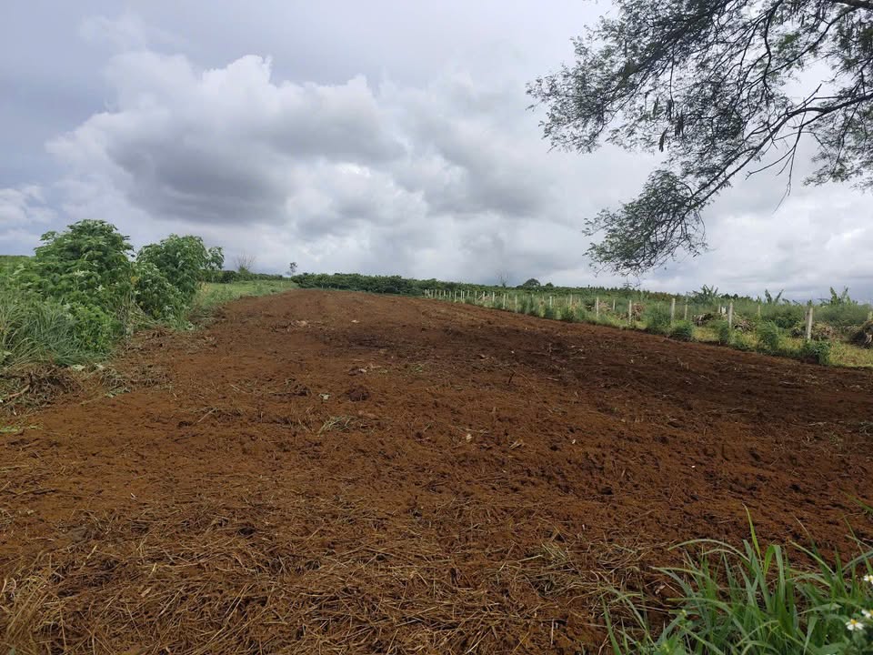 Đất thổ cư Di Linh 7200m² giá 2.2 tỷ - Đường ô tô, mặt tiền đẹp!