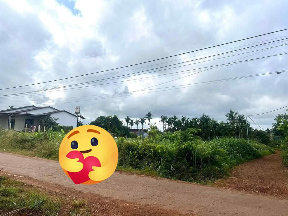 Đất nền Cư Bao, Buôn Hồ 150m² giá 275 triệu - Mặt đường bê tông 12m, sẵn sàng đầu tư!