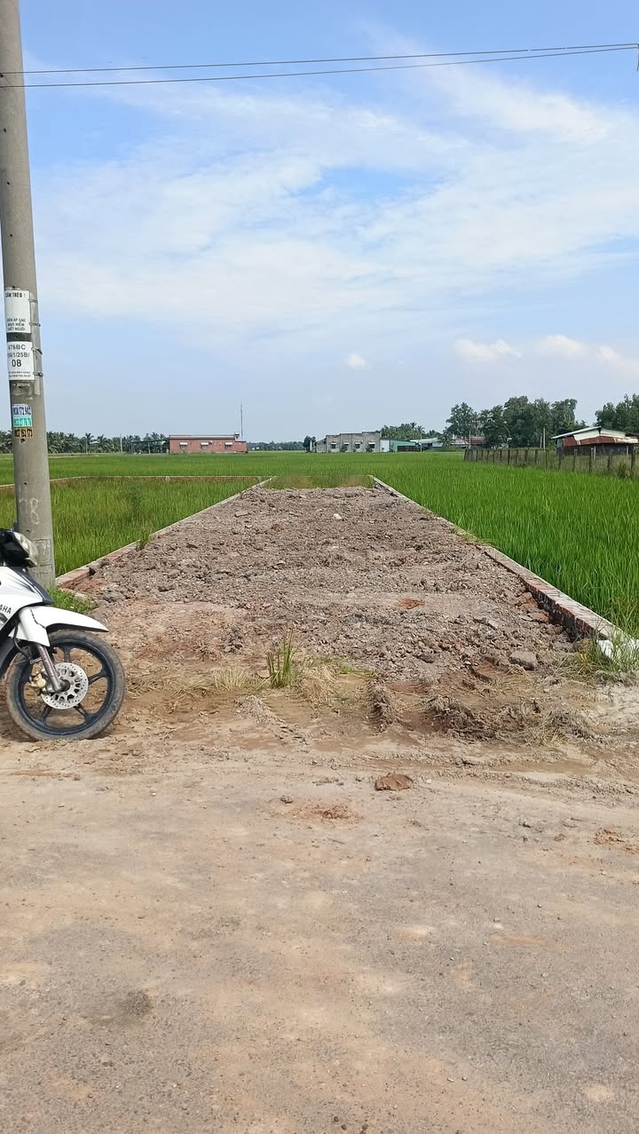 Đất thổ cư Bến Cầu 195m² - Mặt tiền nhựa 1 xẹt, giá thỏa thuận!