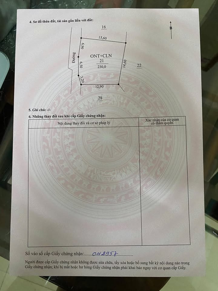 Đất nền chính chủ tại Đường An, An Dương 230m² giá 1 tỷ - Cơ hội đầu tư hiếm có!