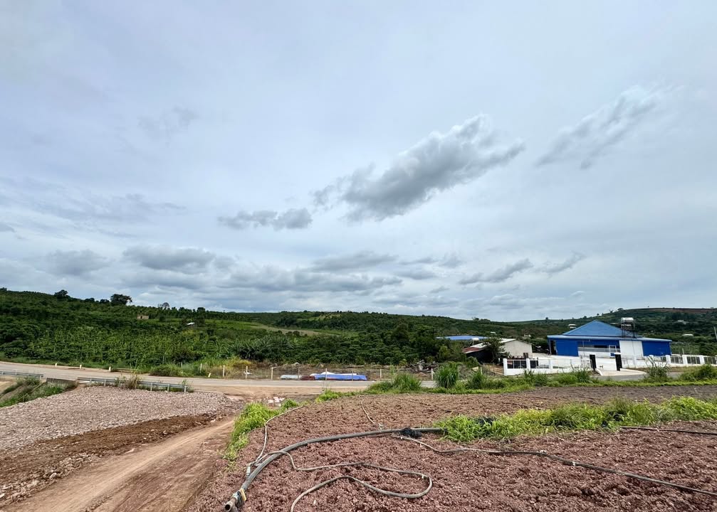 Đất thổ cư 1100m² tại Đan Phượng - Giá chỉ 1.6 tỷ - Mặt tiền đường nhựa 18m!