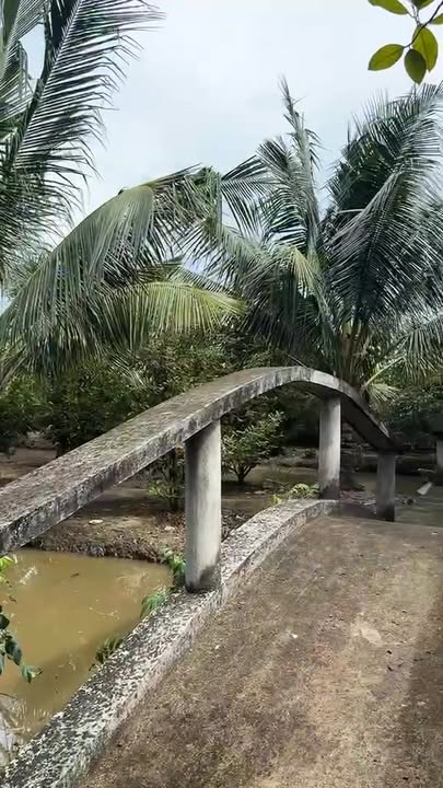 Nhà vườn nghỉ dưỡng Củ Chi 2000m² - Cơ hội đầu tư hấp dẫn!