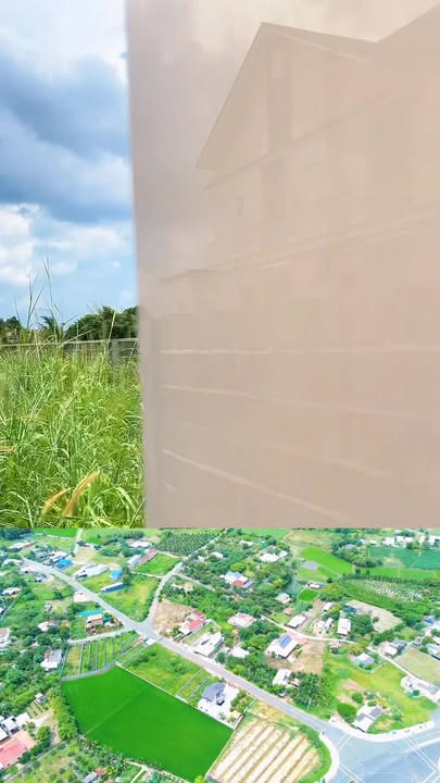 Đất thổ cư 318m² Xã Phước Hải, Đất Đỏ - Mặt tiền kinh doanh, giá chỉ 4 tỷ!