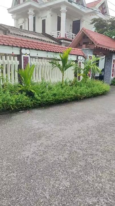 Đất nền Khu 1, thị trấn Ninh Giang 133.5m² giá 1.335 tỷ - Cơ hội đầu tư hấp dẫn!