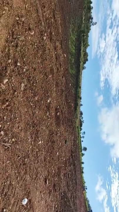 Đất nông nghiệp Long Sơn, Đắk Mil 10ha giá 9.5 tỷ - Cơ hội đầu tư sinh lời cao!