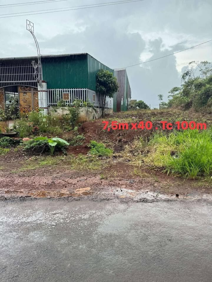 Đất thổ cư 375m² tại xã Nhân Cơ, Đắk R'lấp - Giá chỉ 820 triệu, sổ đỏ chính chủ!