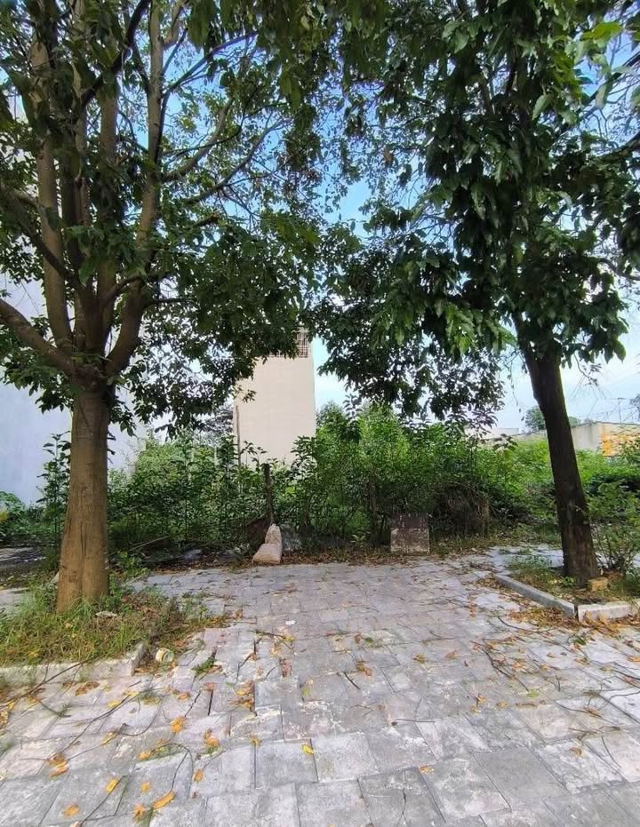 Đất nền Đông Hải, Thanh Hóa 90m² - Vị trí đắc địa, giao dịch thỏa thuận!