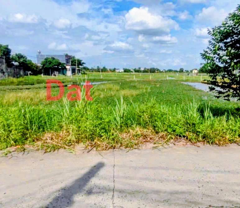 Đất thổ cư Mỹ Hạnh, Đức Hòa 216m² giá 1.35 tỷ - Pháp lý rõ ràng, không lỗi phong thủy!