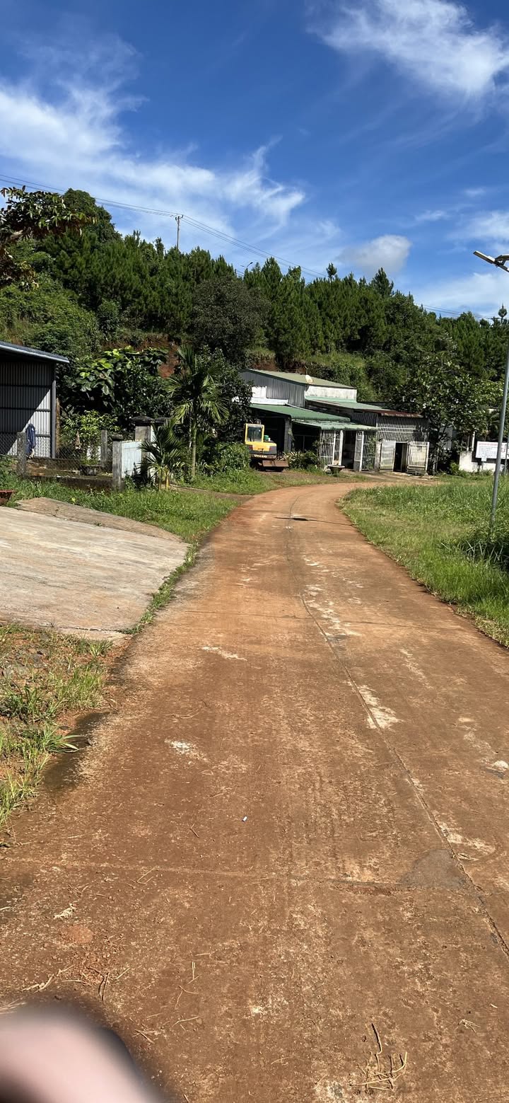 Đất nền mặt đường bê tông Kiến Đức 330m² giá 1.25 tỷ - Cơ hội đầu tư hấp dẫn!