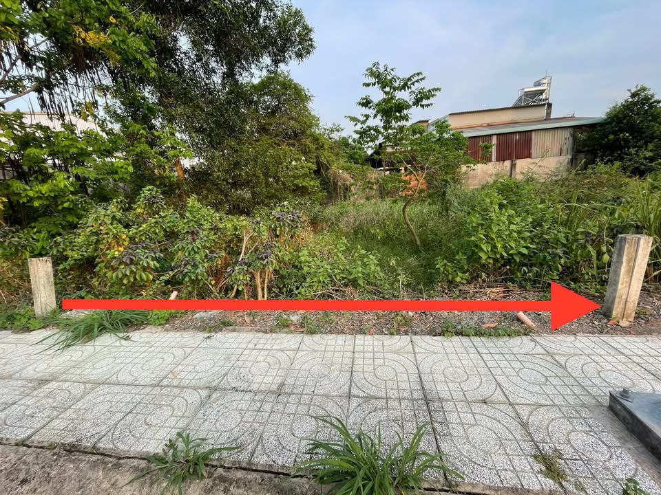 Đất thổ cư Tân Thông Hội, Củ Chi 84m² giá chỉ 1.55 tỷ - Sổ hồng chính chủ!