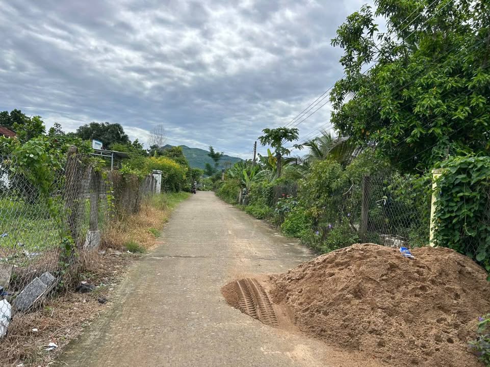 Đất thổ cư 1295m² tại Diên Lâm - Giá chỉ 1.65 tỷ, thích hợp làm nhà vườn!