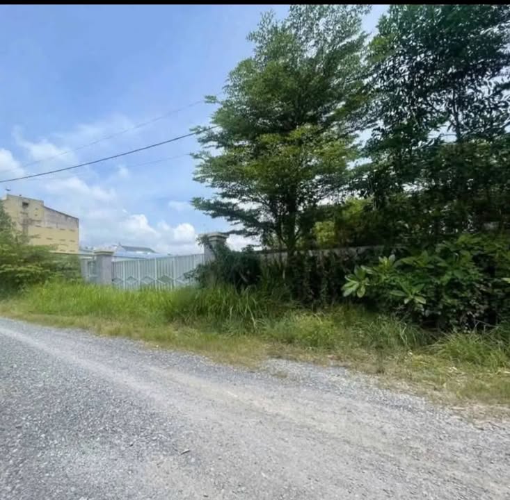 Đất thổ cư Bình Mỹ, Củ Chi 3800m² giá 28 tỷ - Sổ đỏ chính chủ