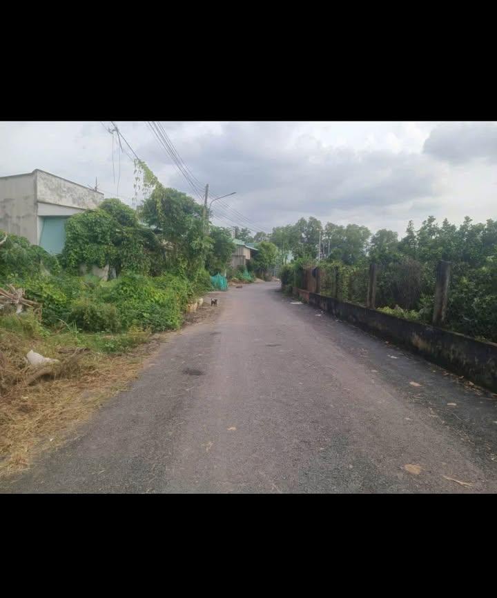 Đất thổ cư Thạnh Phước Tân Uyên 87m² giá 1.35 tỷ - Cơ hội đầu tư tuyệt vời!