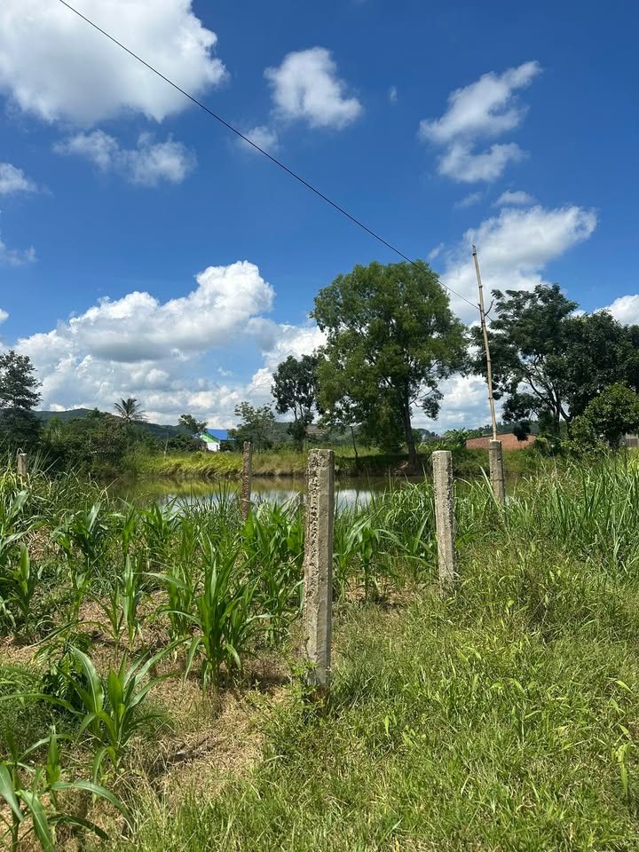 Đất thổ cư 1700m² tại Krông Pắc - Sổ đỏ chính chủ, giá thỏa thuận!