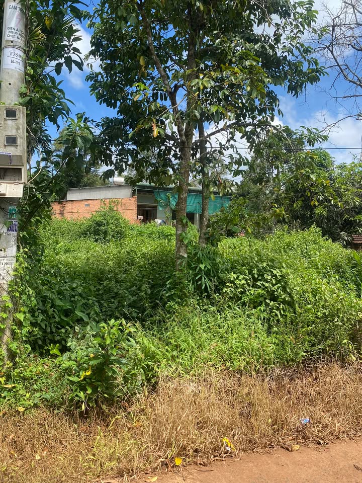 Đất thổ cư Đức Lập 348m² giá 3.48 tỷ - Gần nhà thờ Đức Lệ!