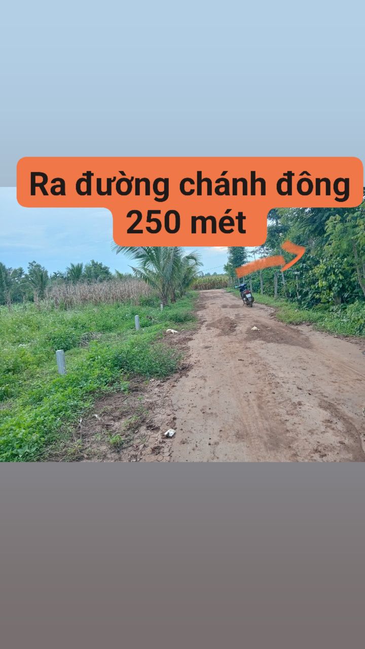 Đất thổ cư xã Ea Tiêu 250m² giá 355 triệu - Cơ hội vàng không thể bỏ lỡ!
