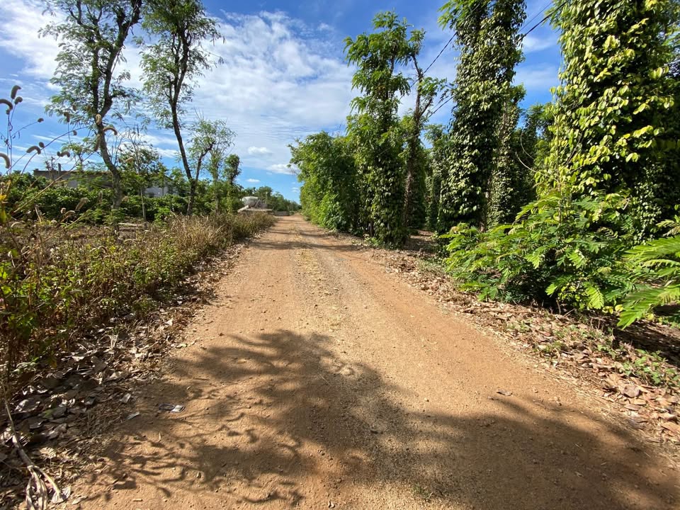 Đất thổ cư 60m² tại Ea Ning, Cư Kuin giá 275 triệu - Đầu tư dài hạn sinh lời!