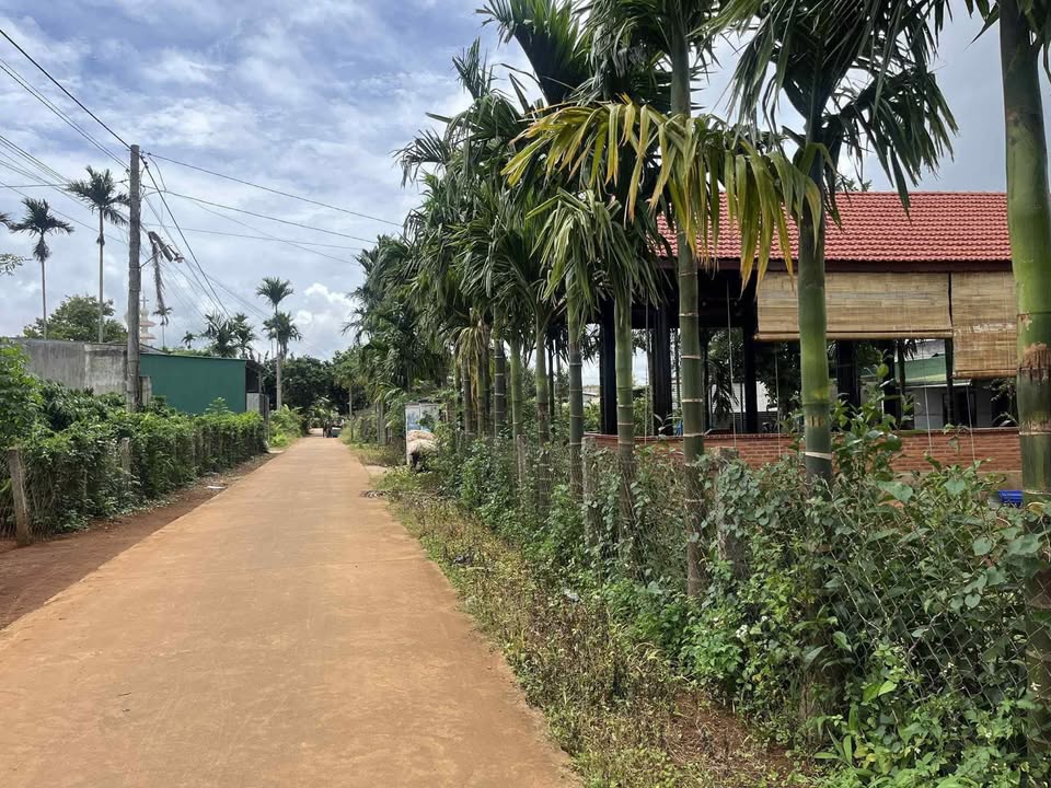 Đất nền Cư Bao 400m² giá 1.4 tỷ - Gần chợ và trường học!