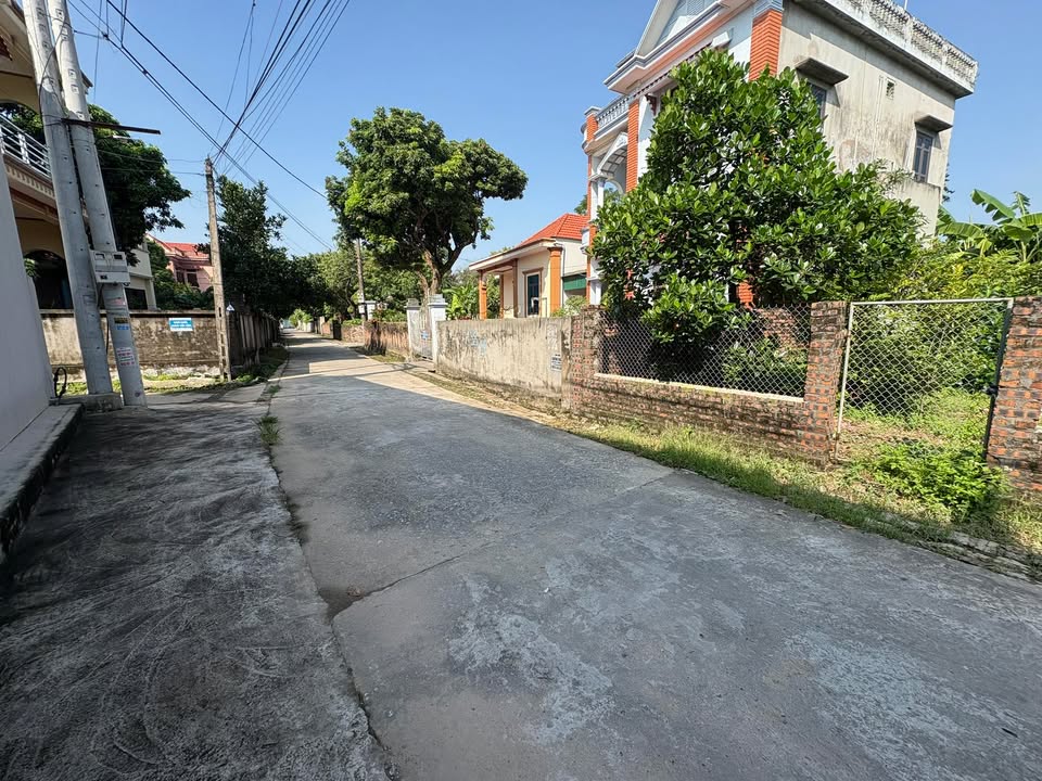 Đất Phú Quân Cẩm Định 300m² - Giá đầu tư hấp dẫn, phù hợp làm nhà vườn nghỉ dưỡng!