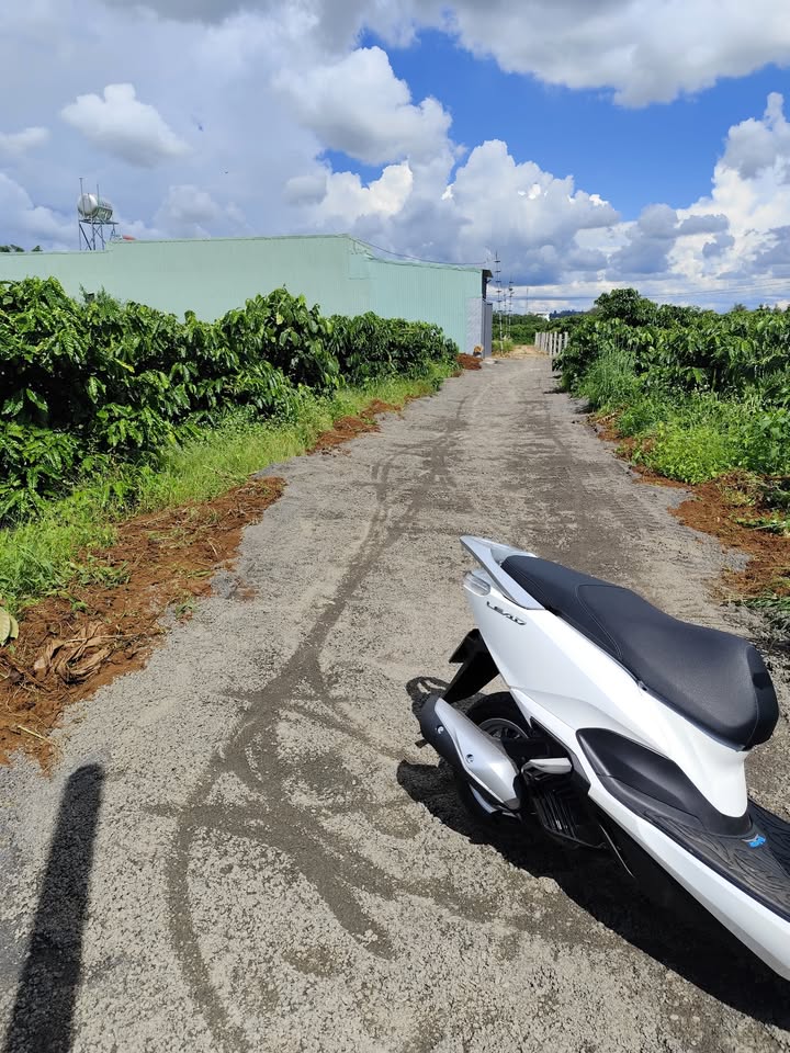 Đất nền Hẻm 100 Nguyễn Kiệm, P Yên Thế, 150m² - Sổ hồng chính chủ, 100% thổ cư!