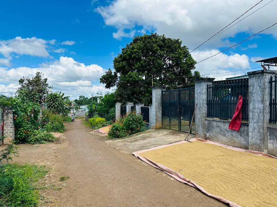 Đất nền hẻm chợ chiều Thắng Lợi, Pleiku 152m² - Giá tốt không thể bỏ lỡ!